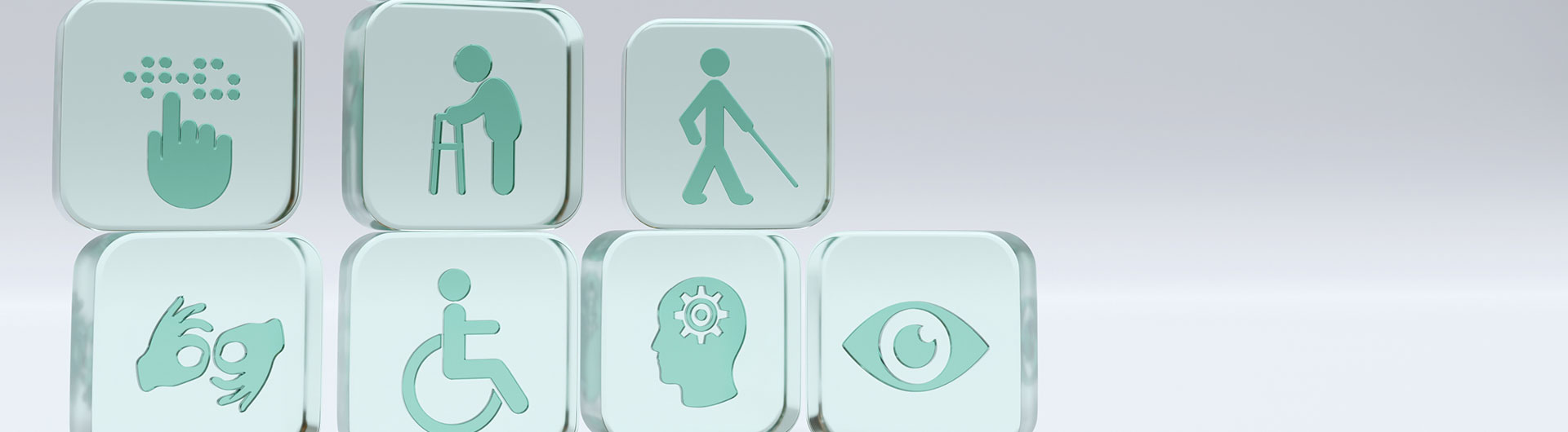 decorative banner image