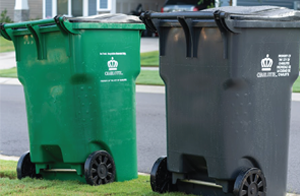 Trash and recycling bins on the curb