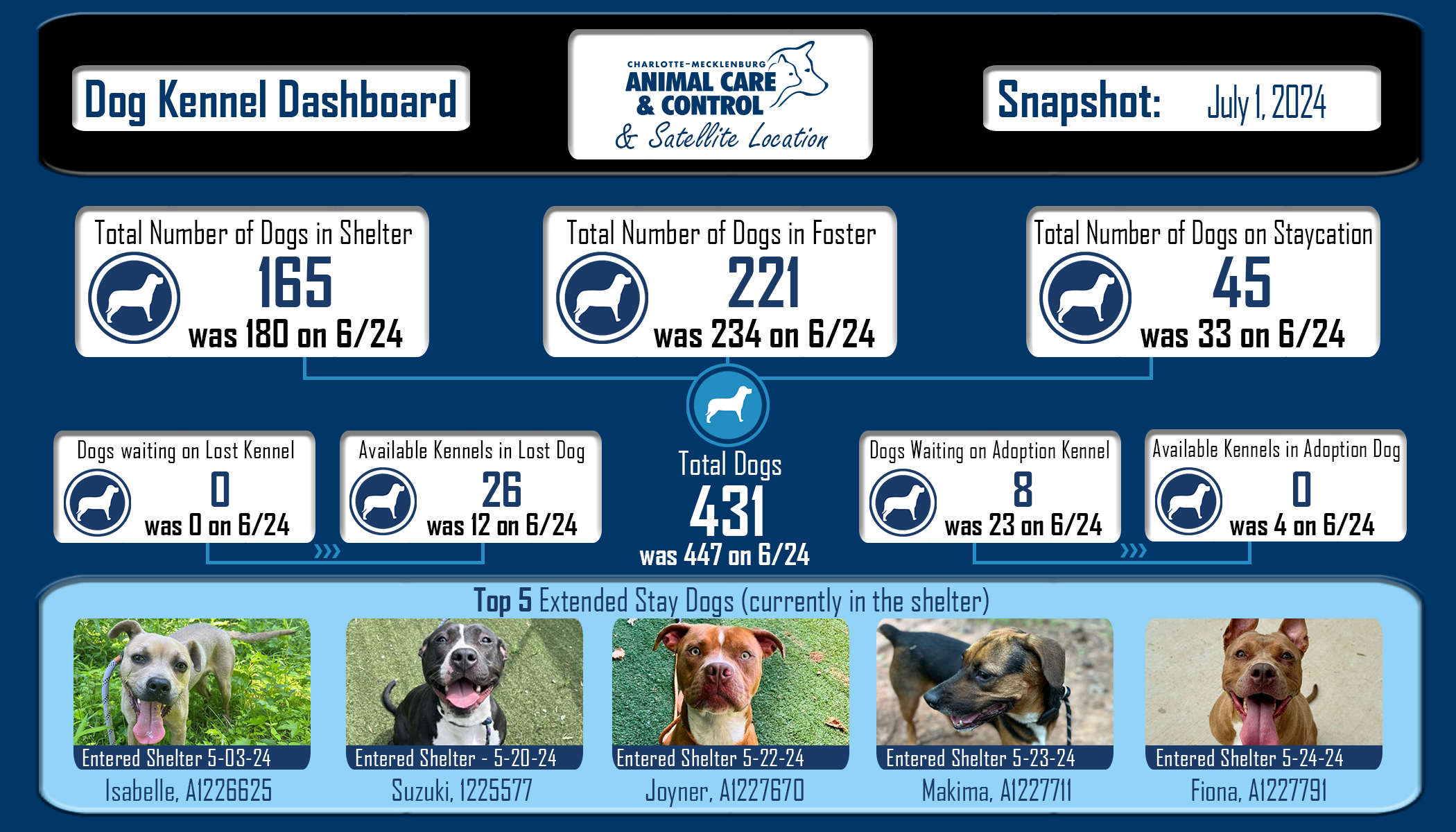 Dog Kennel Shelter Statistics