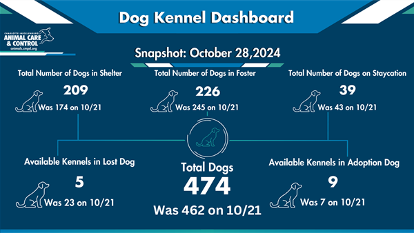 10.28 Dog Kennel Dashboard .png 600 by 337 ACC blue branded infographic Dog Kennel Dashboard for 10/28/24