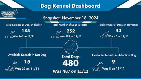 11.18 Dog Kennel Dashboard TD infographic with white dog outline by numbers