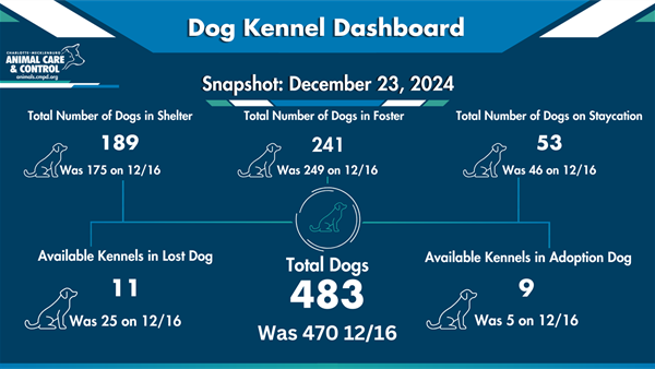 12.23 Dog Kennel Dashboard infographic ACC Read below for more details blue branded with white font, white dog outlines 