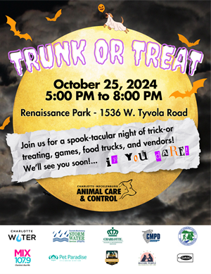 Flyer. Trunk or Treat Halloween theme, black cloudy background large yellow moon orange bats spooky white font with purple outline, black font. 10/25/24 at Renaissance Park "Join us for a spook-tacular night of trick-or-treating, games, food trucks and vendors" on crinkled white paper cutout. Hosted by Animal Care & Control and friends