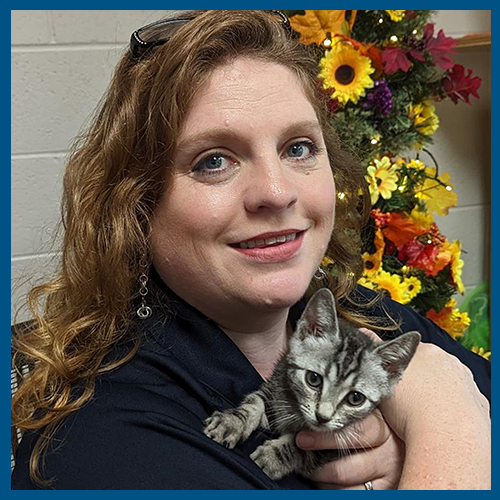 5x5 blue border Jessica Smith close-up with gray tabby kitten