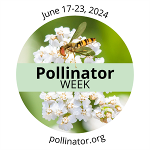 June 17-23, 2024 Pollinator Week, Pollinator.org