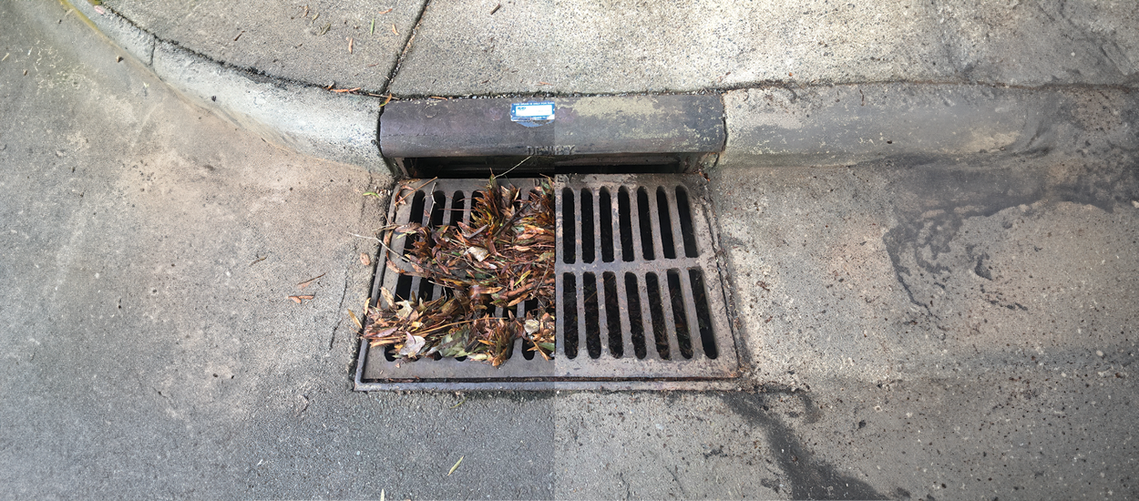 Leaves in a storm drain.