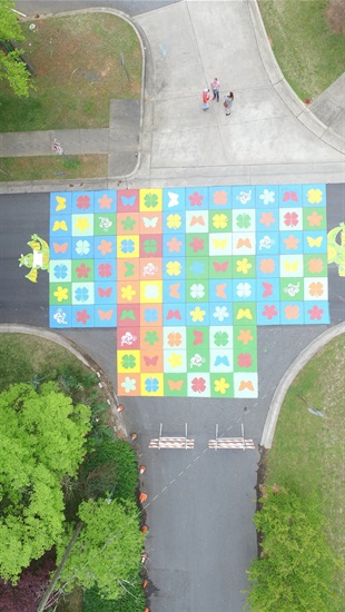 Anne Street Art Photo