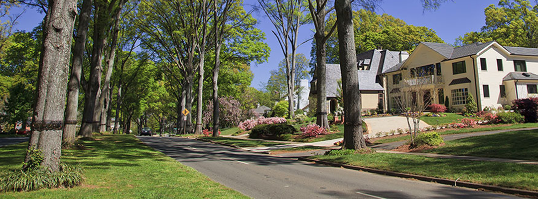 Beautiful Street View of Charlotte Neighborhood